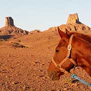 Randonnée à cheval, le Djebel Saghro, Maroc