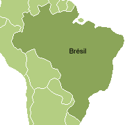 Randonnée équestre découverte du Pantanal au Brésil.