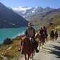 Randonn�e �questre dans les Alpes valaisanes, Suisse
