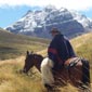 Rando cheval en Equateur au Cotopaxi