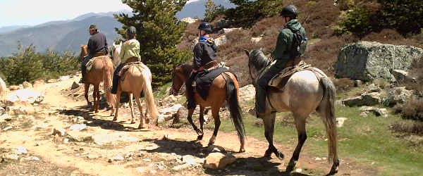 RandonnÃ©e Ã  cheval, Sierra de la Demanda, Castille, Espagne