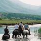 Randonn�e �questre, sur les traces de Winetou en Dalmatie, Croatie