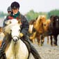 Rando cheval en Islande à Sprengisandur