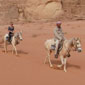 D�couverte randonn�e �questre du Wadi Rum et de Petra, Jordanie, la classique.