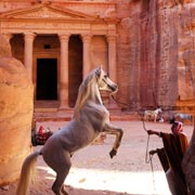 Rando à cheval, la route des rois, Petra et Wadi Rum, Jordanie