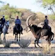 Séjour équestre et safari à cheval dans une ancienne ferme bovine, Namibie 