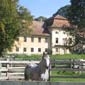 Randonn�e � cheval en Transylvanie, Roumanie