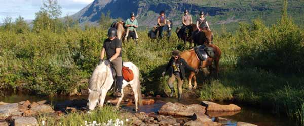 Randonnée équestre de Nikkaluokta, chevaux islandais en Laponie, Suède