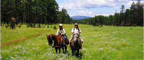 RandonnÃ©e cheval. Chiricahua Apache Ride, Gila Wilderness, Nouveau Mexique, USA
