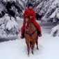 Magie hivernale au Qu�bec, chevaux et chiens de tra�neau, Canada