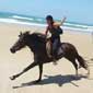 Immersion berb�re sur la c�te sud du Maroc