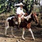 Randonn�e �questre d'hacienda en hacienda au Mexique, avec accompagnateur francophone