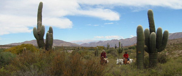 Randonnée à cheval, les sentiers des Incas à Salta, Argentine