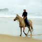 Rando cheval en Australie en Nouvelle Galles du Sud