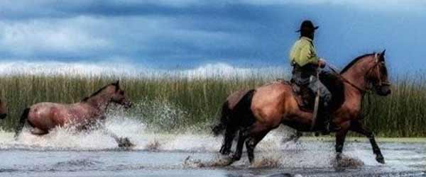 Randonnée équestre de fazenda en fazenda avec les gauchos de Santa Catarina, Brésil