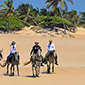 Rando cheval à alagoas au Brésil 