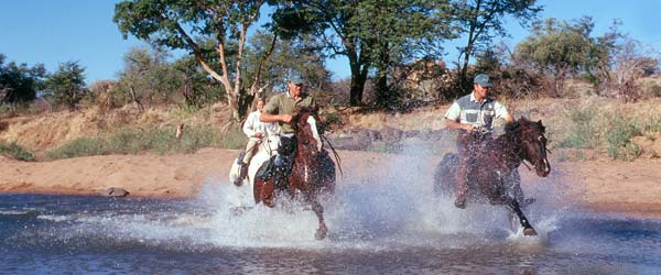 Safari à cheval. Au pays des géants - le safari de Tuli- Botswana