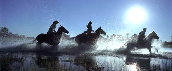 Safari à cheval. Le delta de l'Okavango, Botswana