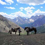 Randonnée à cheval sur le Continental Divide de Kananaskis, Alberta, Canada.