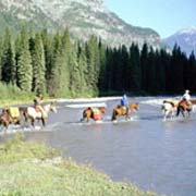 Randonnée à cheval en autonomie sur la chaîne des Kananaskis, Alberta, Canada.