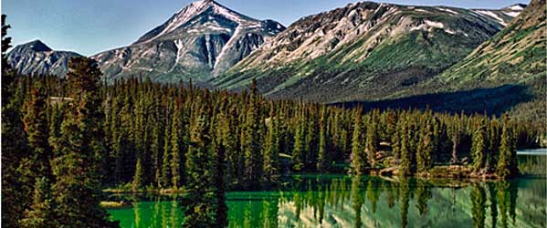 Randonne questre Into the Wild, au pays de Jack London, Yukon, Canada