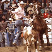 Québec, randonnée équestre et festival Rodéo Western de St Tite, Canada
