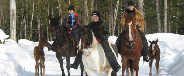Randonnée équestre hivernale au Québec, chevaux, traîneau attelé, ski joering, chiens de traîneau, Canada