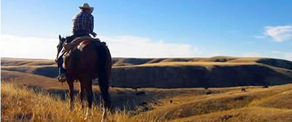 Séjour à cheval en ranch dans la vallée de la Saskatchewan, Saskatchewan, Canada.