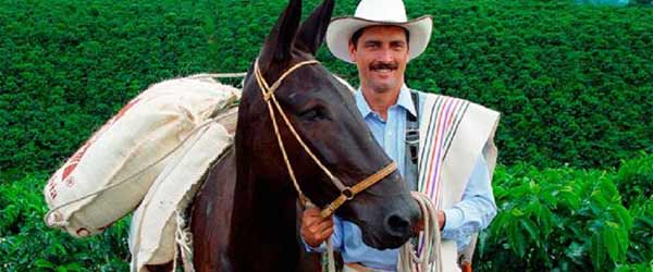 Randonnée équestre d'hacienda en hacienda, sur la route du café, Colombie