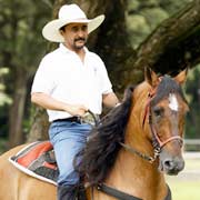 Séjour à cheval. Ancienne piste espagnole à Guanacaste, Costa Rica.