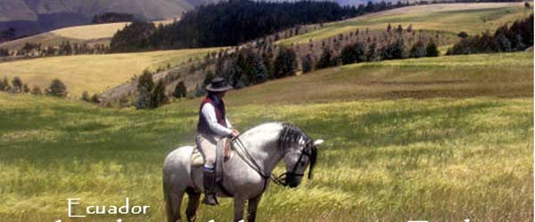 Rando en étoile, au coeur d'une hacienda historique, Equateur