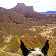 Randonnée à cheval désert de Bardenas, Navarre, Espagne