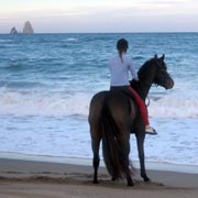 Randonnée à cheval de la montagne à la mer, Catalogne, Espagne