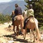 Rando cheval en Espagne, Sierra de la Demanda en Castille