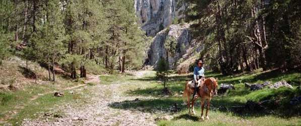 Randonnée à cheval à la Lagune Noire de Soria, Castille, Espagne