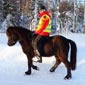 rando cheval dans la neige en Finlande