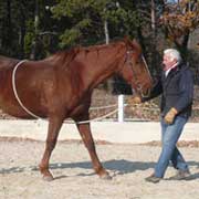 Stage d'éthologie dans le Jura, France