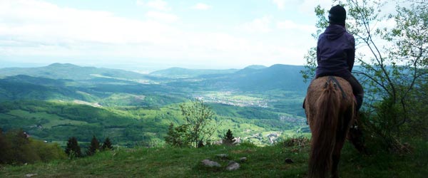 Week-ends équestres toute l'année, en Alsace, France