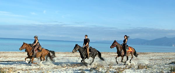 Randonnée à cheval, Couleurs Corses, France