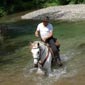 Rando cheval étoile en France en Corse
