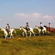 Randonnées à cheval en Alsace, France