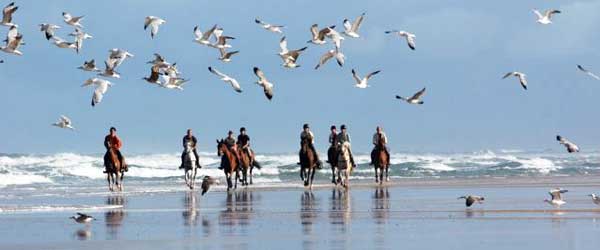 Randonnée équestre de la côte Atlantique, Landes, France