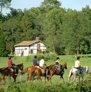 Randonnée équestre et raid entre Landes et Périgord, France