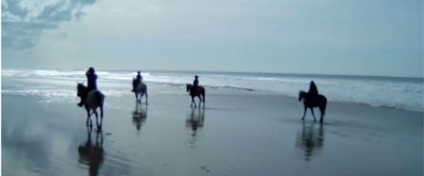 RandonnÃ©e Ã©questre - Le MÃ©doc : Plage et Vins, Bordelais, France