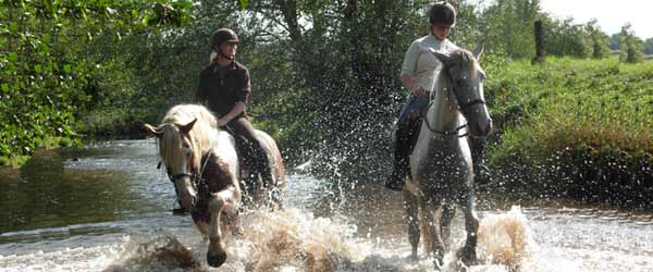 Randonnée à cheval entre Maconnais et Beaujolais, Bourgogne du Sud, France