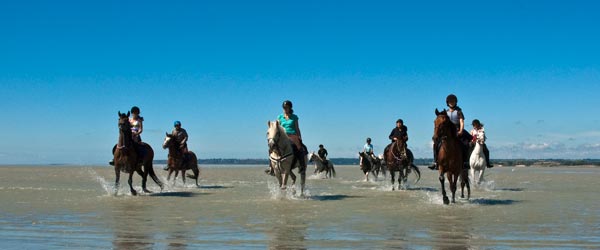 Spécial Ados  Mont Saint Michel, 11 à 17 ans, Bretagne, France