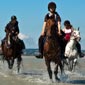 Rando cheval en France, Normandie et Bretagne