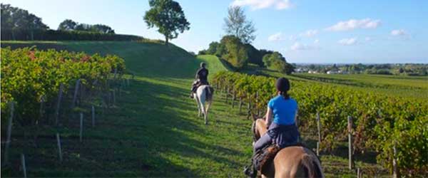 ChevauchÃ©e pÃ©tillante Ã  travers les vignobles champenois, France