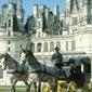Rando cheval en France dans la Loire