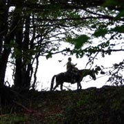 Randonnée à cheval du désert des Agriates, Corse, France